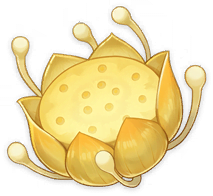 Nilotpala Lotus